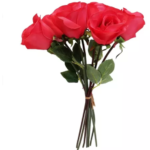 ROSAS X 12