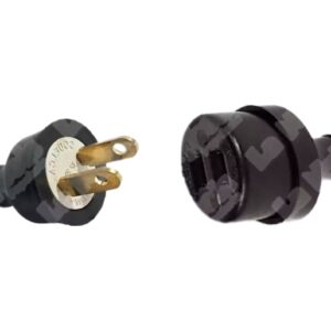 CLAVIJA HEMBRA O MACHO GRANDE