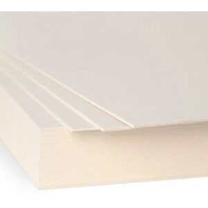 CARTON PAJA 1/2 X 10 CREMA