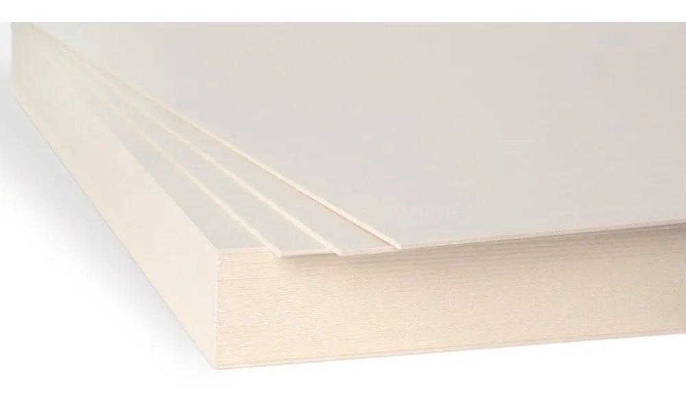 CARTON PAJA 1/2 X 10 CREMA