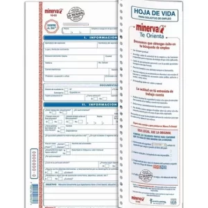 HOJA DE VIDA 10-00 SENCILLA X 20