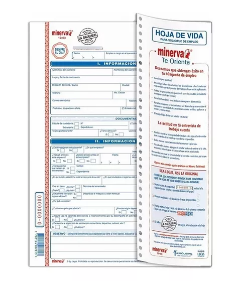 HOJA DE VIDA 10-00 SENCILLA X 20