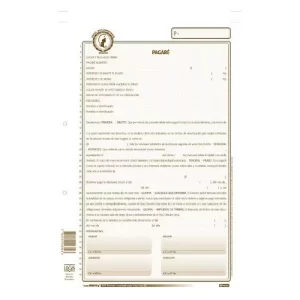 CONTRATO DE PAGARE X12