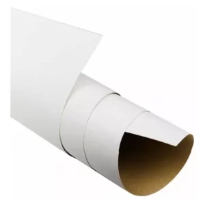 CARTON CARTULINA 1/2 X 10 UND