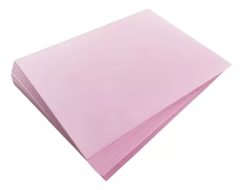 FICHA BIBLIOGRAFICA X 50 ROSADA