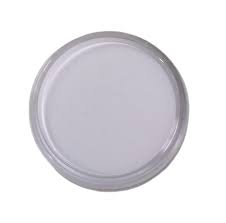 PINTA CARITA BLANCA * 6